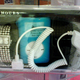 Illustration for article titled Weird Combo of the Day: iPod Car Kit and a Diamond Watch?